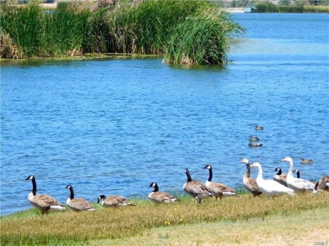 Tiny photo for 40303 Brook Trails Way, Aguanga, CA 92536 (MLS # SW26199750)