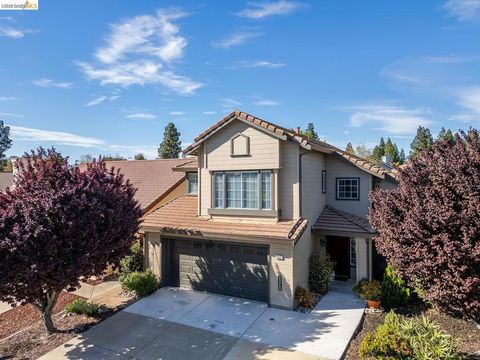 Photo of 5037 Bronco Court Ct, Antioch, CA 94531 (MLS # 41128016)