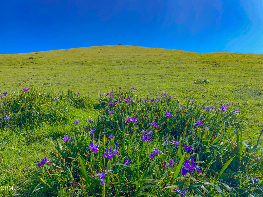 Not Applicable - Land