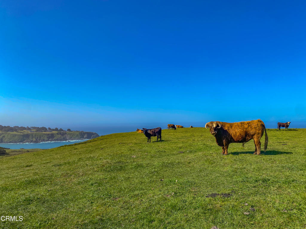 Not Applicable - Land