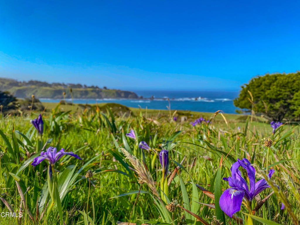 Not Applicable - Land