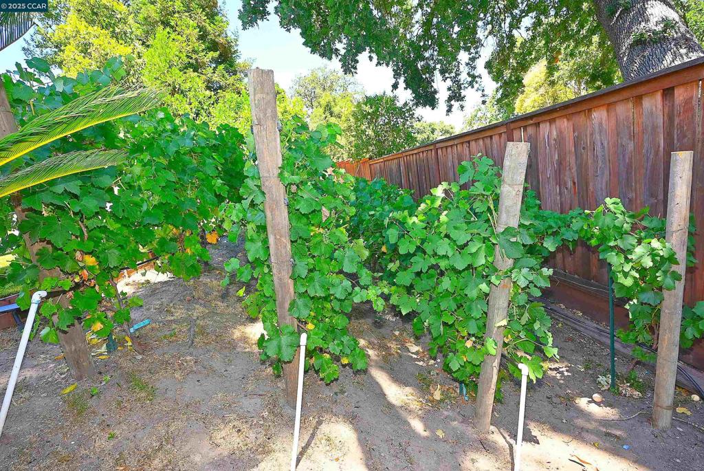 WALNUTHETS - Residential Lease