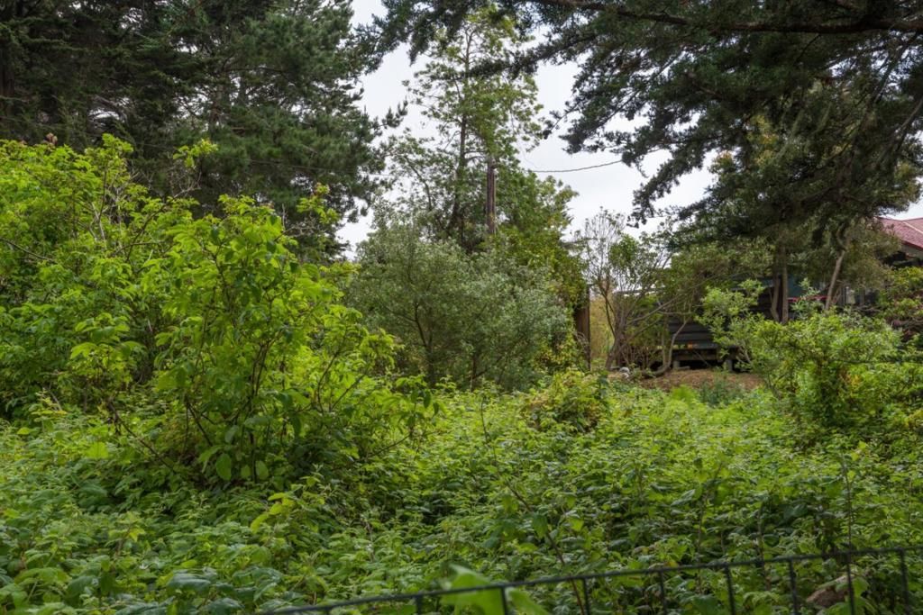 Photo of 0 Oak Avenue, Moss Beach, CA 94038 (MLS # ML82033857)