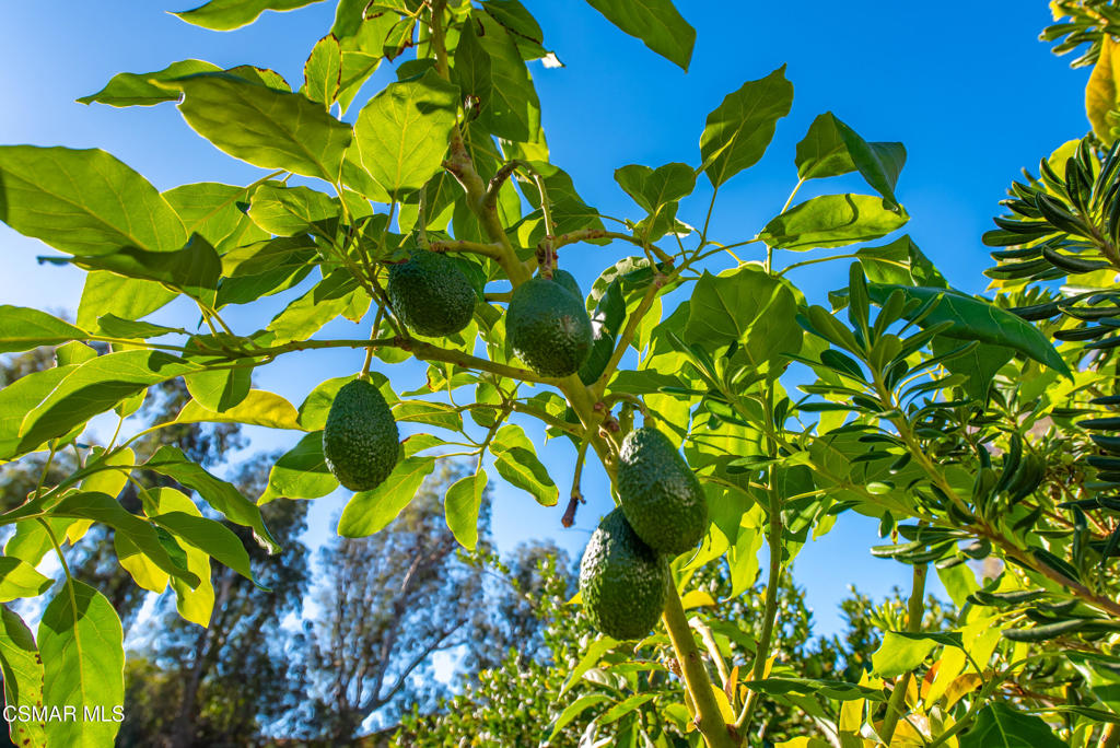 Bridle Path-103 - 103 - Residential