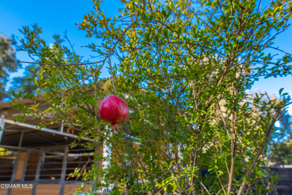 Bridle Path-103 - 103 - Residential