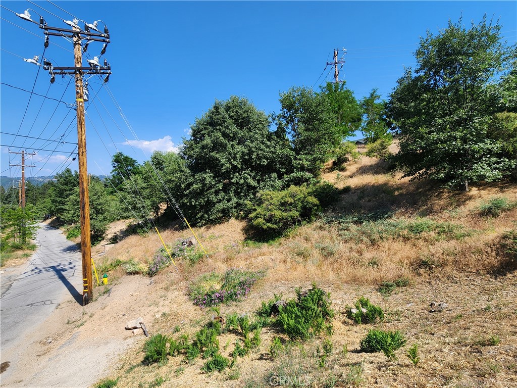 Great gently sloping Running Springs area lot with distant ridgline views and just around the corner from National Forest access. This lot includes recent house plans for a lovely 3 bed 2 bath home with garage. The plans for this 1775 SQ FT Home with 275 SQ FT garage were completed recently by local engineering firm Kadtec at a cost of almost $20,000. All utilities (water,sewer,gas,electric,phone,internet,cable) are conveniently located at or near the streat. Fantastic price for a beautiful lot that is ready to break ground, saving you time and money! Don't miss this amazing opportunity, make your offer today!