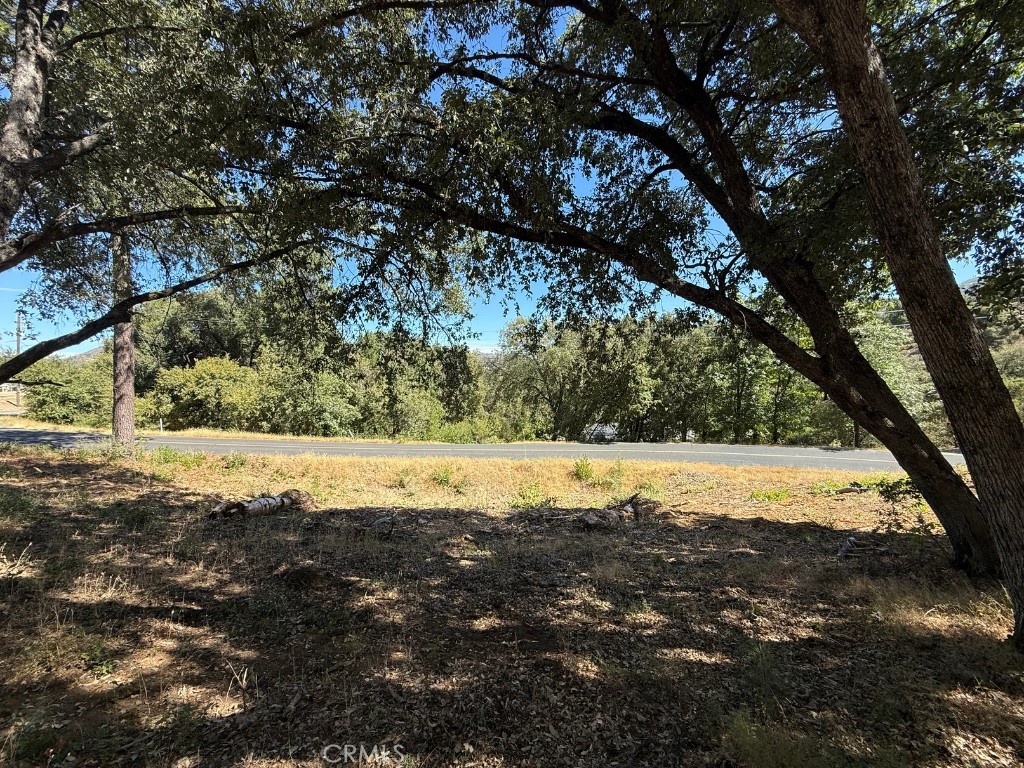 Build your future in the heart of Mariposa! This spacious 2.33-acre parcel in the family-friendly Lushmeadows Mountain Estates offers untouched natural beauty—towering trees, peaceful surroundings, and room to breathe. Imagine mornings filled with golden sunlight streaming through the pines and evenings spent taking in the serene mountain air. With just a little dirt work, this property can become the perfect family oasis—space to grow, play, and create lasting memories for years to come. Don’t wait—take a drive by and call your favorite hometown agent today!