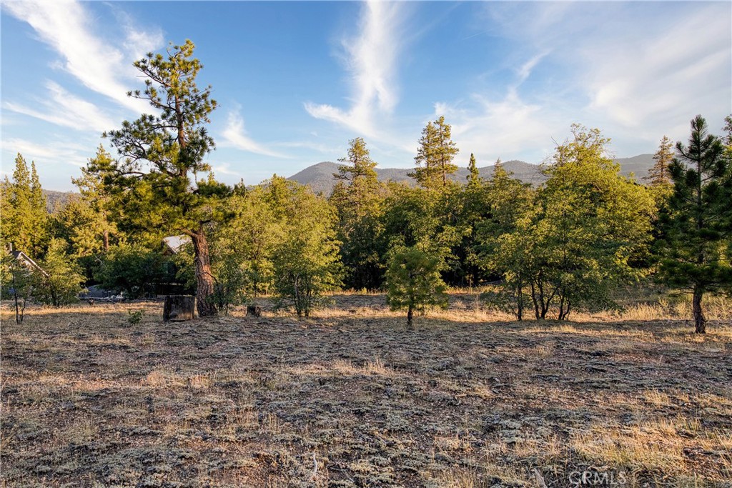 Call of the Wild. Rare opportunity to own a surveyed quarter-acre lot backing directly to National Forest in one of Big Bear’s most sought-after settings. Tucked at the end of a quiet cul-de-sac, this property offers true privacy, sweeping mountain views, a seasonal stream, and unfiltered access to miles of trails—right out your back door.
It’s the kind of spot that feels like a step back in time: quiet mornings, starry nights, and that peaceful stillness only the forest can offer. Yet you’re still within walking distance to the Village, lake, Alpine Slide, and more.
Whether you're dreaming of a weekend cabin or a simple mountain retreat, this lot offers a rare blend of seclusion and convenience. Lots like this don’t last—especially ones with this much character and connection to nature.