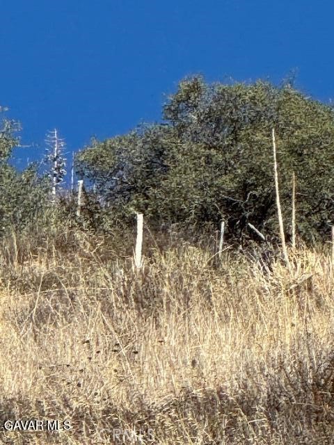 4700 Shannon View Road