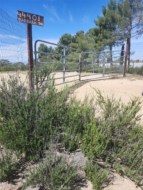 Photo of 44401 Barbara Trail, Aguanga, CA 92536 (MLS # AR26059662)