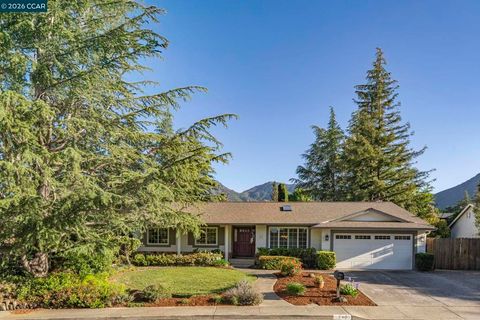 Photo of 711 Bloching Cir Cir, Clayton, CA 94517 (MLS # 41131104)