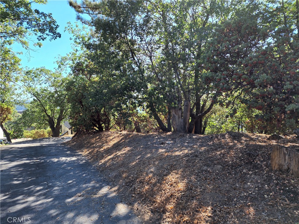 Arrowhead Woods (AWHW) - Land