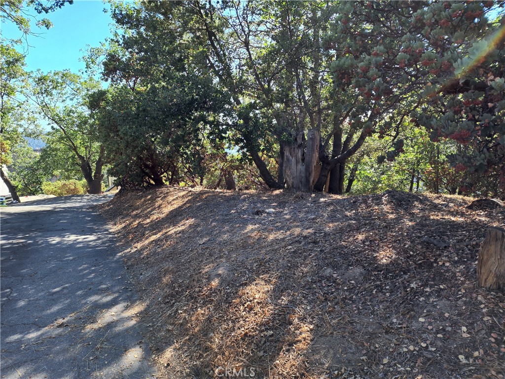 Arrowhead Woods (AWHW) - Land
