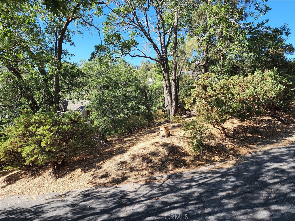 Arrowhead Woods (AWHW) - Land