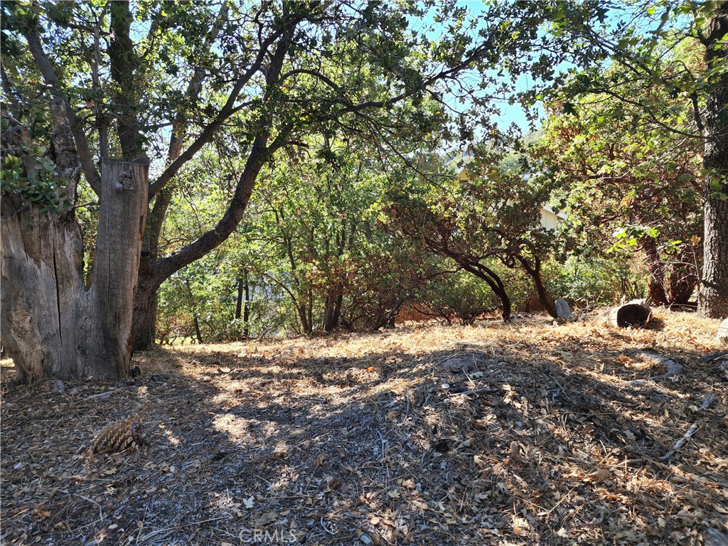 Arrowhead Woods (AWHW) - Land