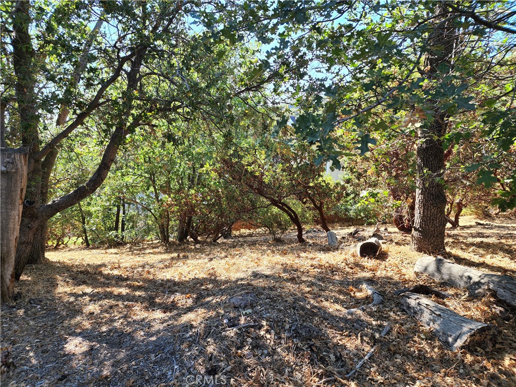 Arrowhead Woods (AWHW) - Land