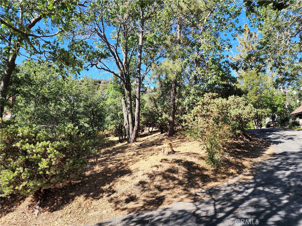 Arrowhead Woods (AWHW) - Land