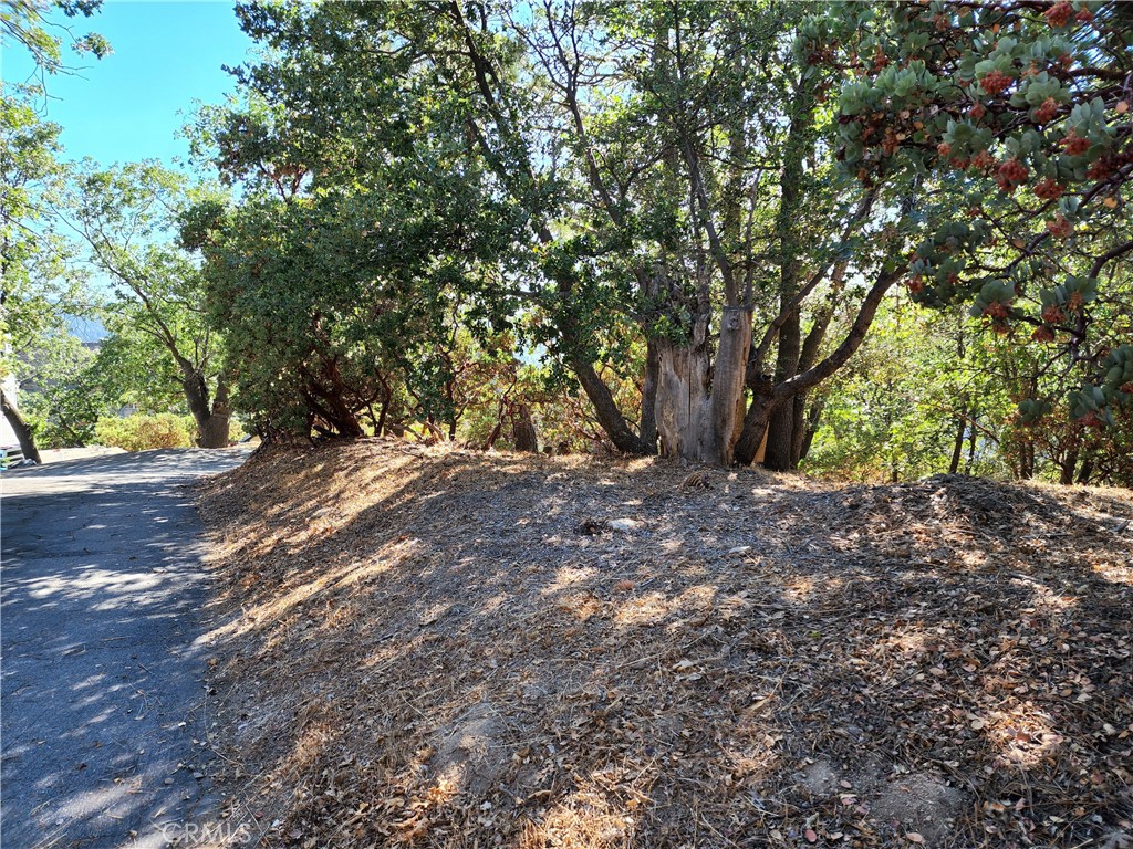 Arrowhead Woods (AWHW) - Land