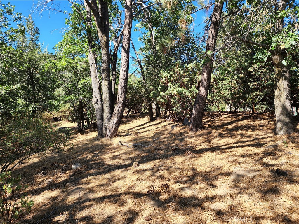Arrowhead Woods (AWHW) - Land