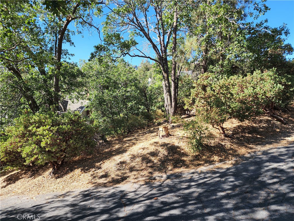 Arrowhead Woods (AWHW) - Land