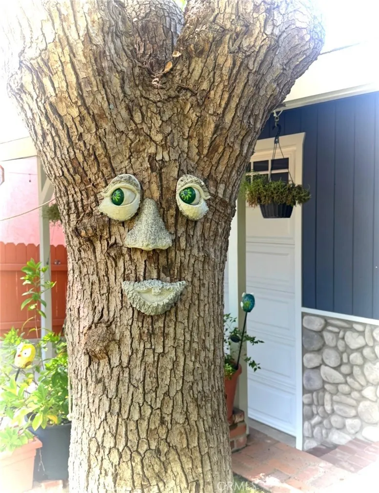 Tujunga, California 91042, United States, 2 Bedrooms Bedrooms, ,1 BathroomBathrooms,Residential,Active,200890