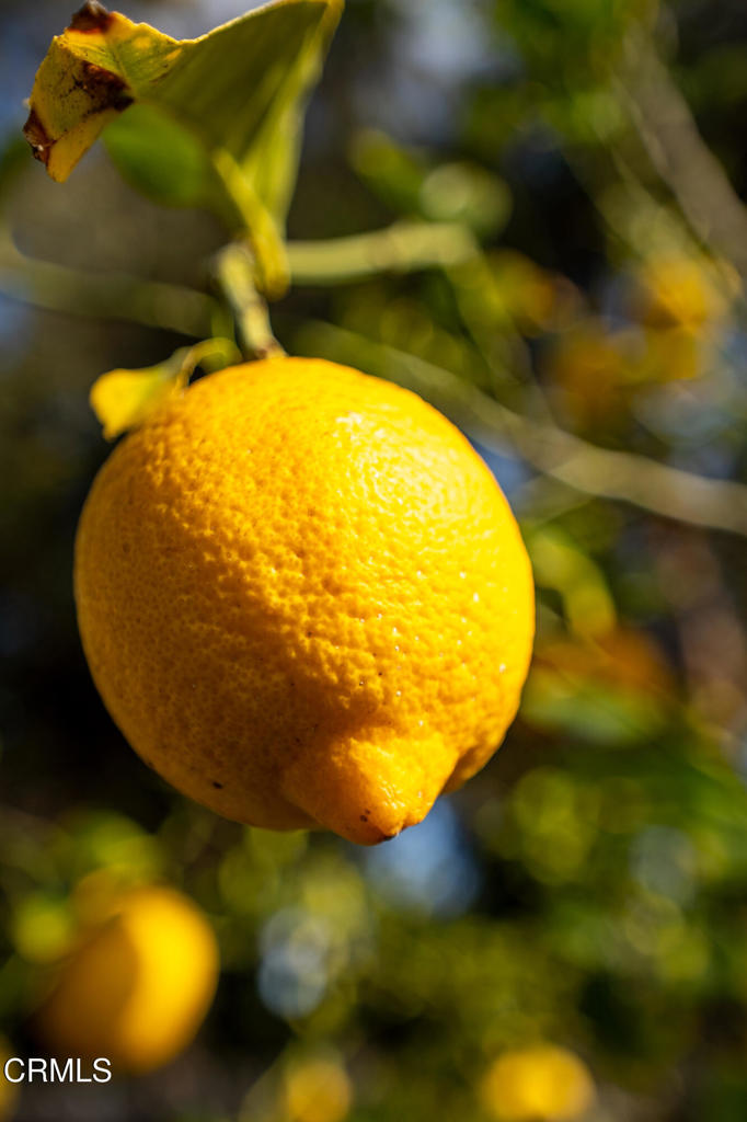 Montalvo Heights - 0262 - Residential