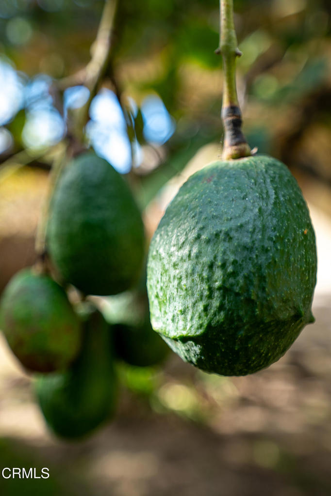 Montalvo Heights - 0262 - Residential