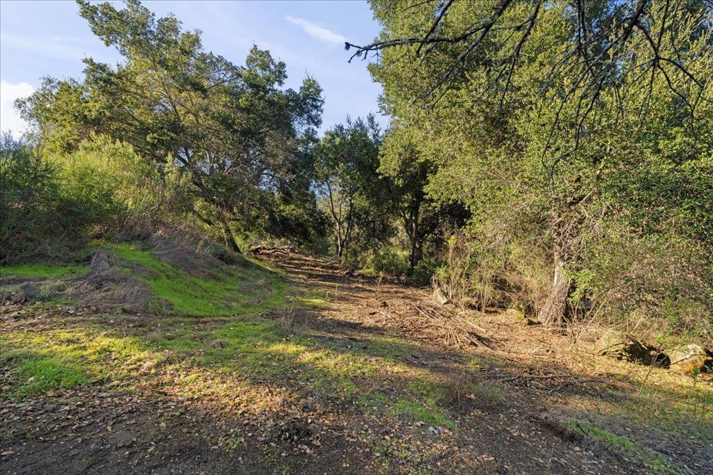 1 Old Santa Cruz Highway