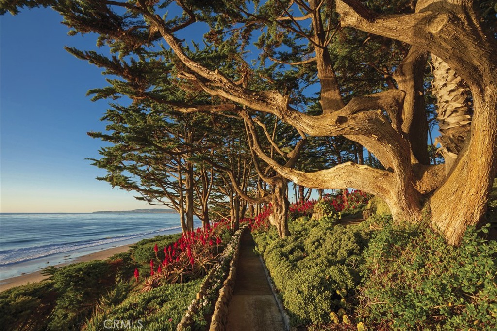 Palisades (PS) - Residential