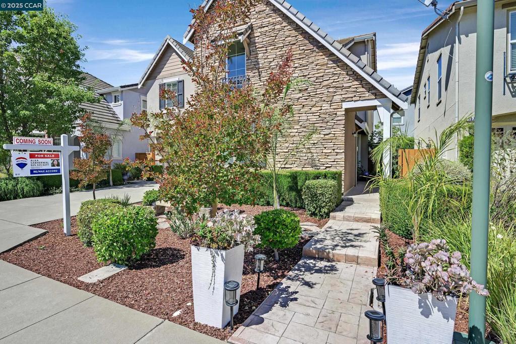 MONTEROSSO - Residential