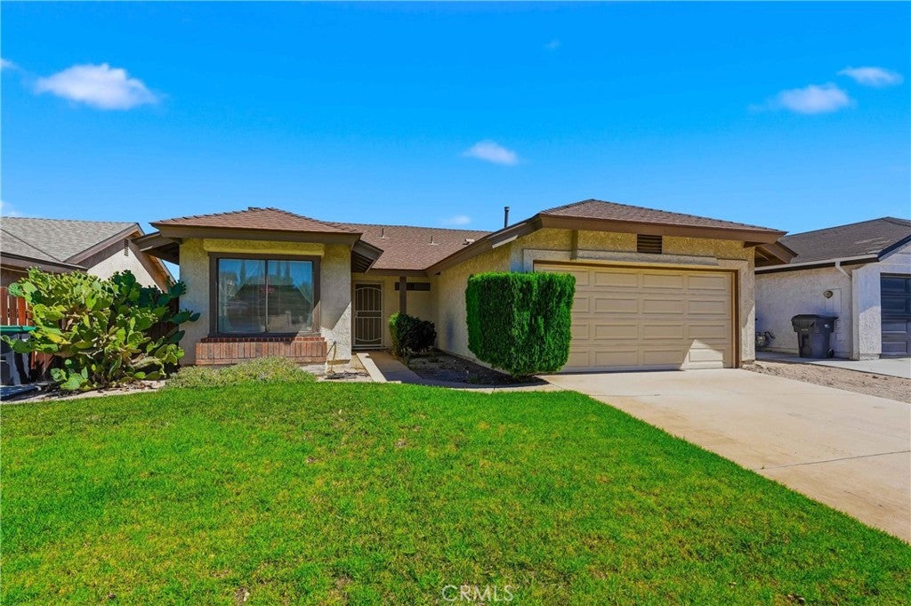 36892 Spanish Broom