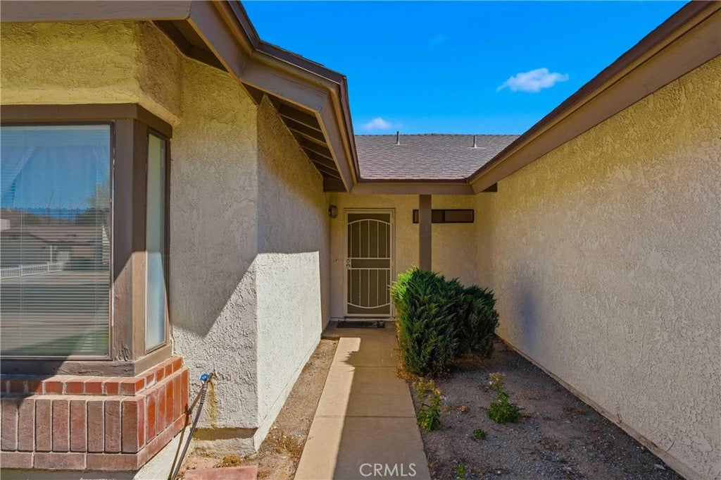 36892 Spanish Broom