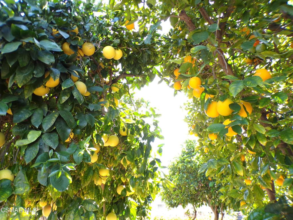 250 Telegraph Road 220