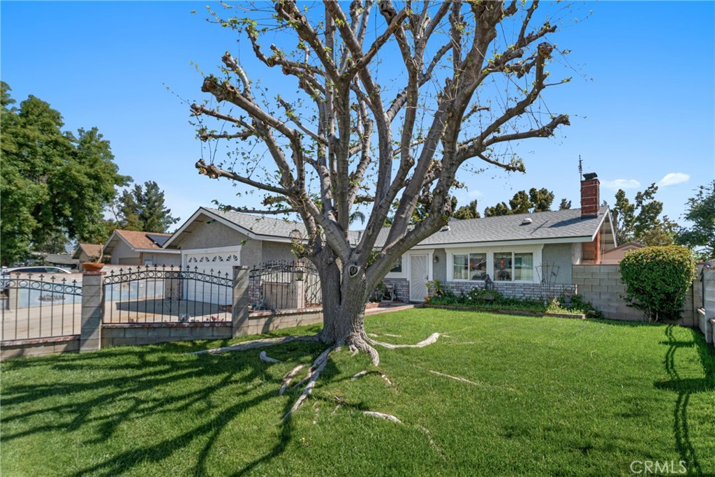 9945 Date Street