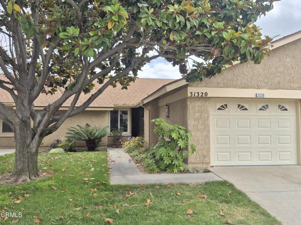 31320 Village 31