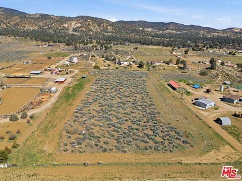 Photo of 0 Mt. Lilac Trail, Frazier Park, CA 93225 (MLS # 26668483)