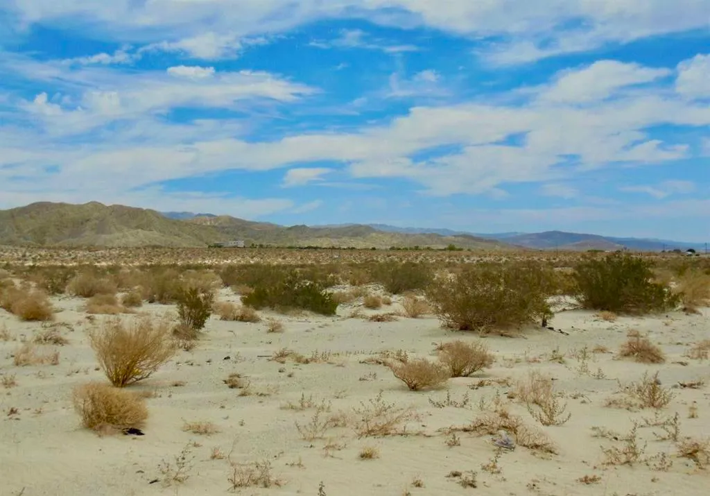 Thousand Palms, California 92276, United States, ,Land,Active,176985