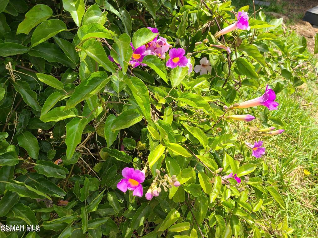 Shadow Oaks-318 - 1002882 - Residential Lease