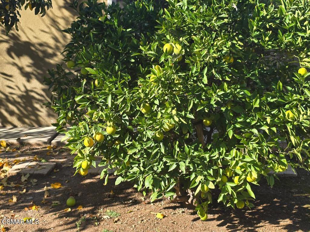 Shadow Oaks-318 - 1002882 - Residential Lease