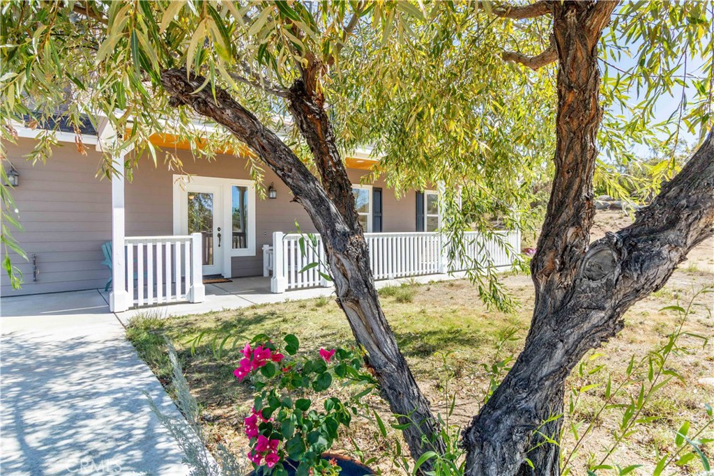 41910 Crazy Horse Canyon Road