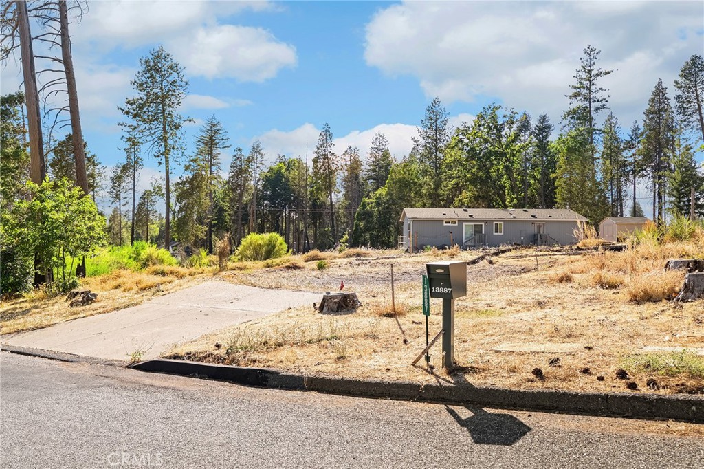 13887 Carver Drive