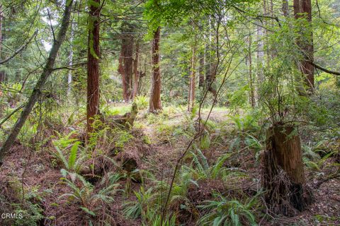 Photo of 32100 Forest Lane, Fort Bragg, CA 95437 (MLS # C1-11252)