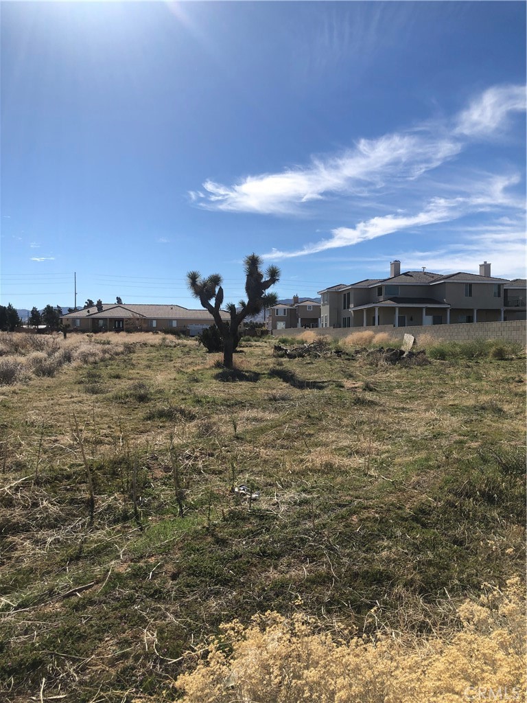 0 Vac/Vic Avenue M14/35th Stw
