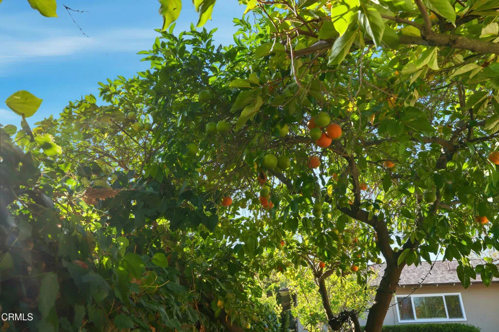 Pasadena, California 91107, United States, 3 Bedrooms Bedrooms, ,2 BathroomsBathrooms,Residential,Active,238852