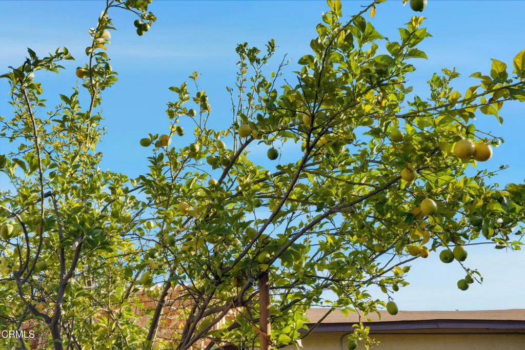 Pasadena, California 91107, United States, 3 Bedrooms Bedrooms, ,2 BathroomsBathrooms,Residential,Active,238852