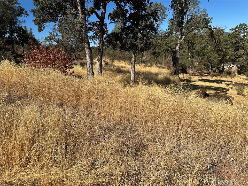 Own a piece of Clearlake! 2 lots close to shopping. almost level lots. Buyer to do all investigation regarding utilities and build requirements.