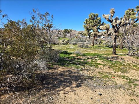 Photo of 7484 Palm Avenue, Yucca Valley, CA 92284 (MLS # JT26006041)