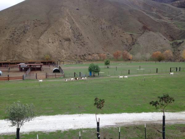 The San Benito River runs through this property. "Certified organic Ranch." It has a small, but very nice cabin, hook-ups for 2 RV's with power, water and septic. A barn, a shop, a very secure emergency storage container, an over size 3 car enclosed garage. Dirt road takes you up in the hills, H2O available up top. A great family retreat. PROPERTY & STRUCTURES SOLD "AS IS". Only listing agent / owner can show property. WILL CARRY 1ST WITH 50% DOWN.