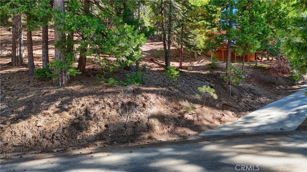 7232 Yosemite Park