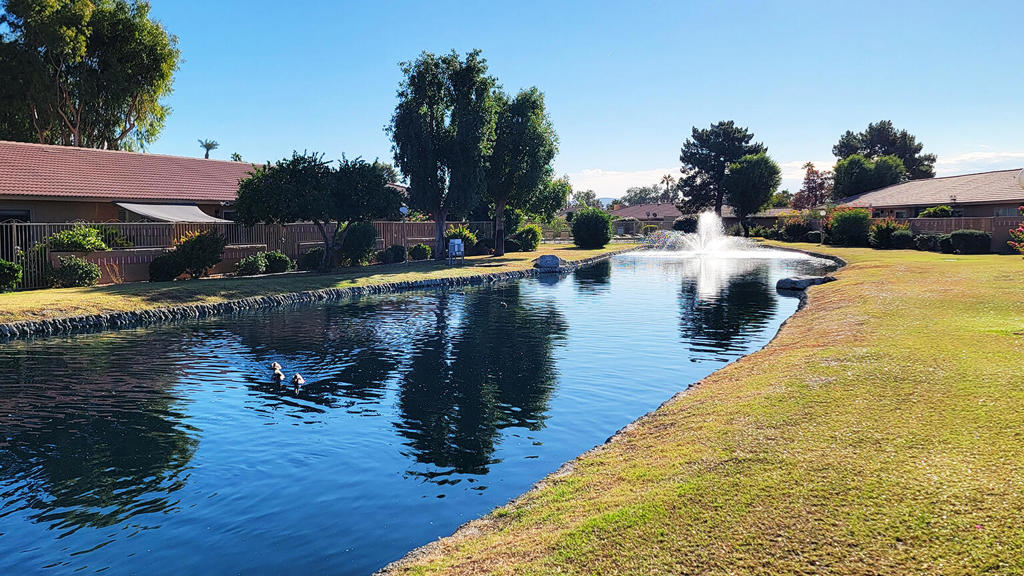 Indian Palms (31432) - Residential